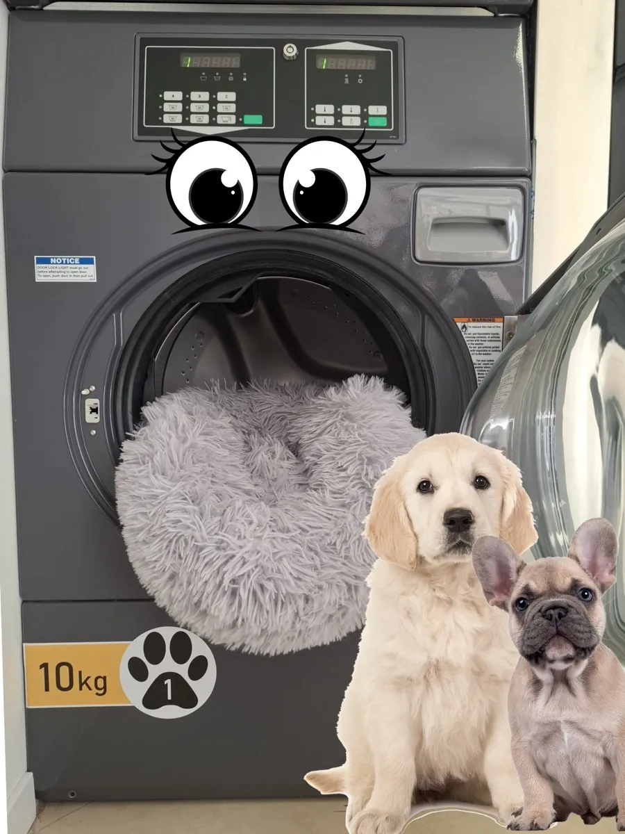 La lavatrice PET da 10 kg di LAVACITY, riservata alle cose degli animali di casa, con dentro una cuccia in lavaggio e la targhetta 10 kg con l'impronta